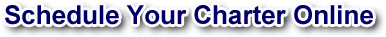 schedule online